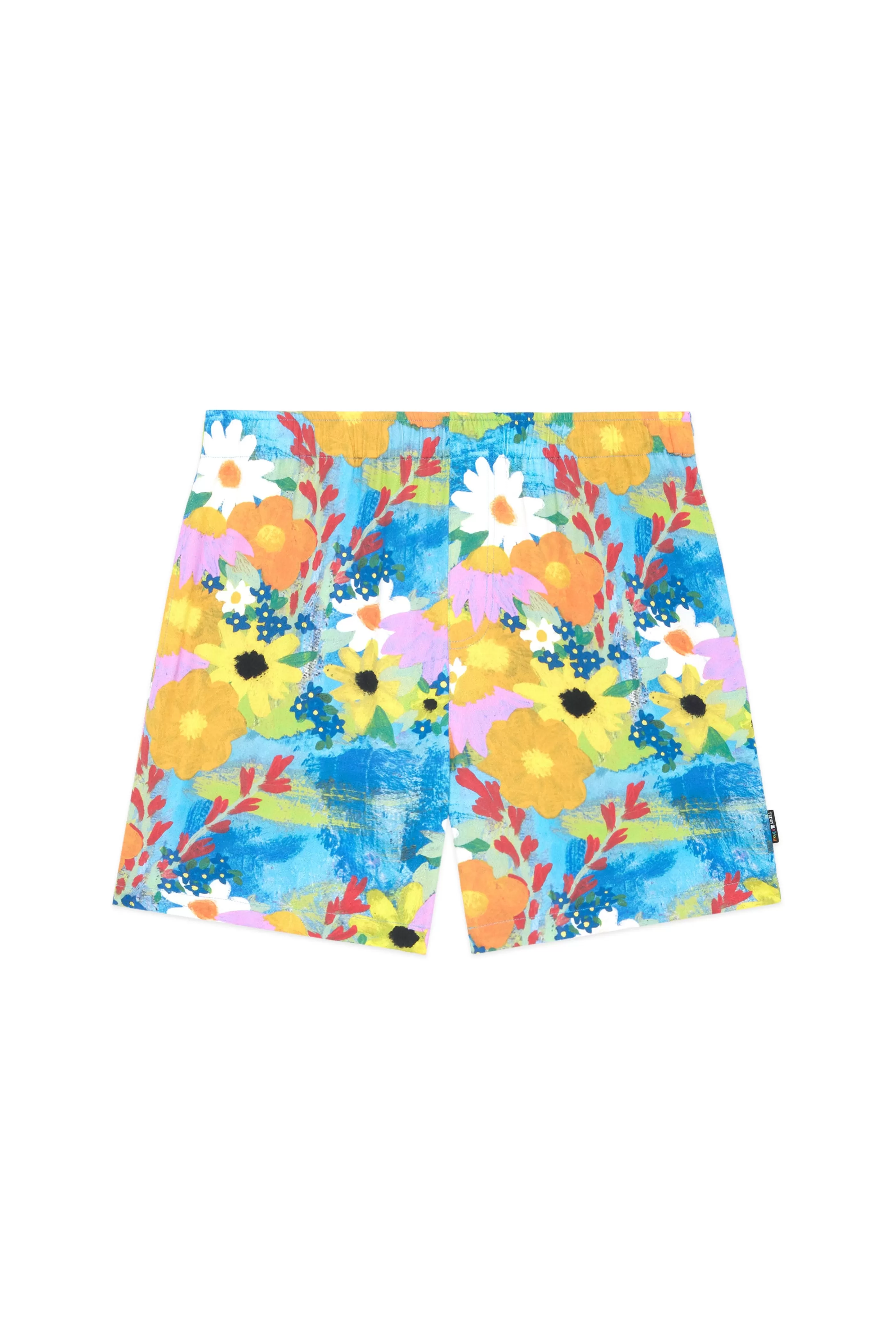 Teddy Fresh TF X Celia Landreth Shorts Multi Sale