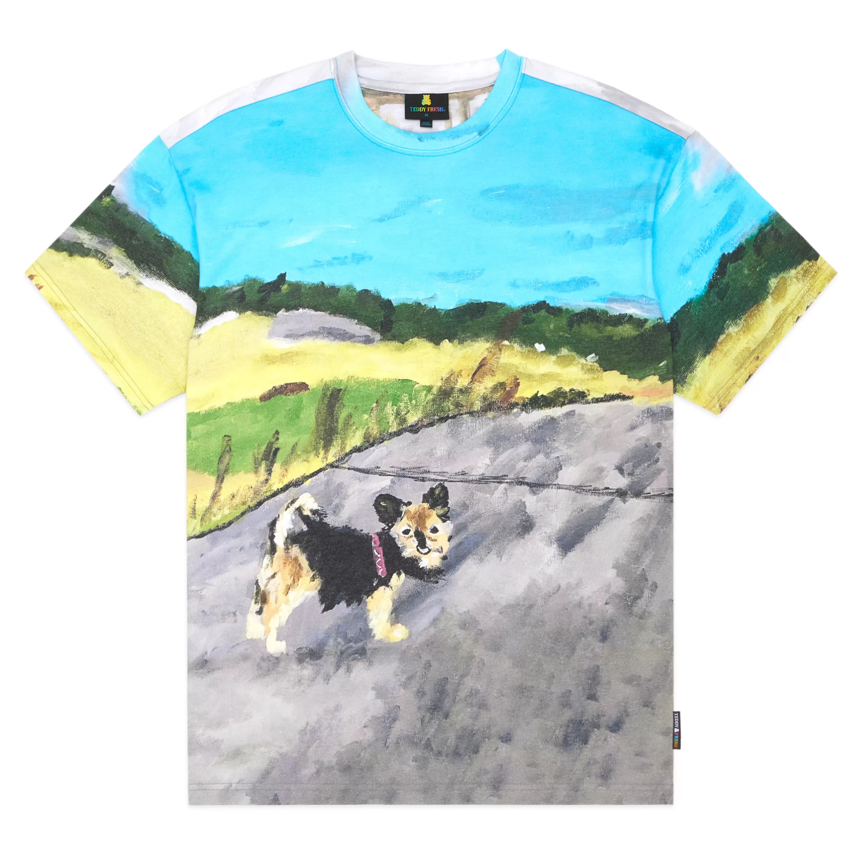 Teddy Fresh TF X Tom Coomber Tee Multi Fashion